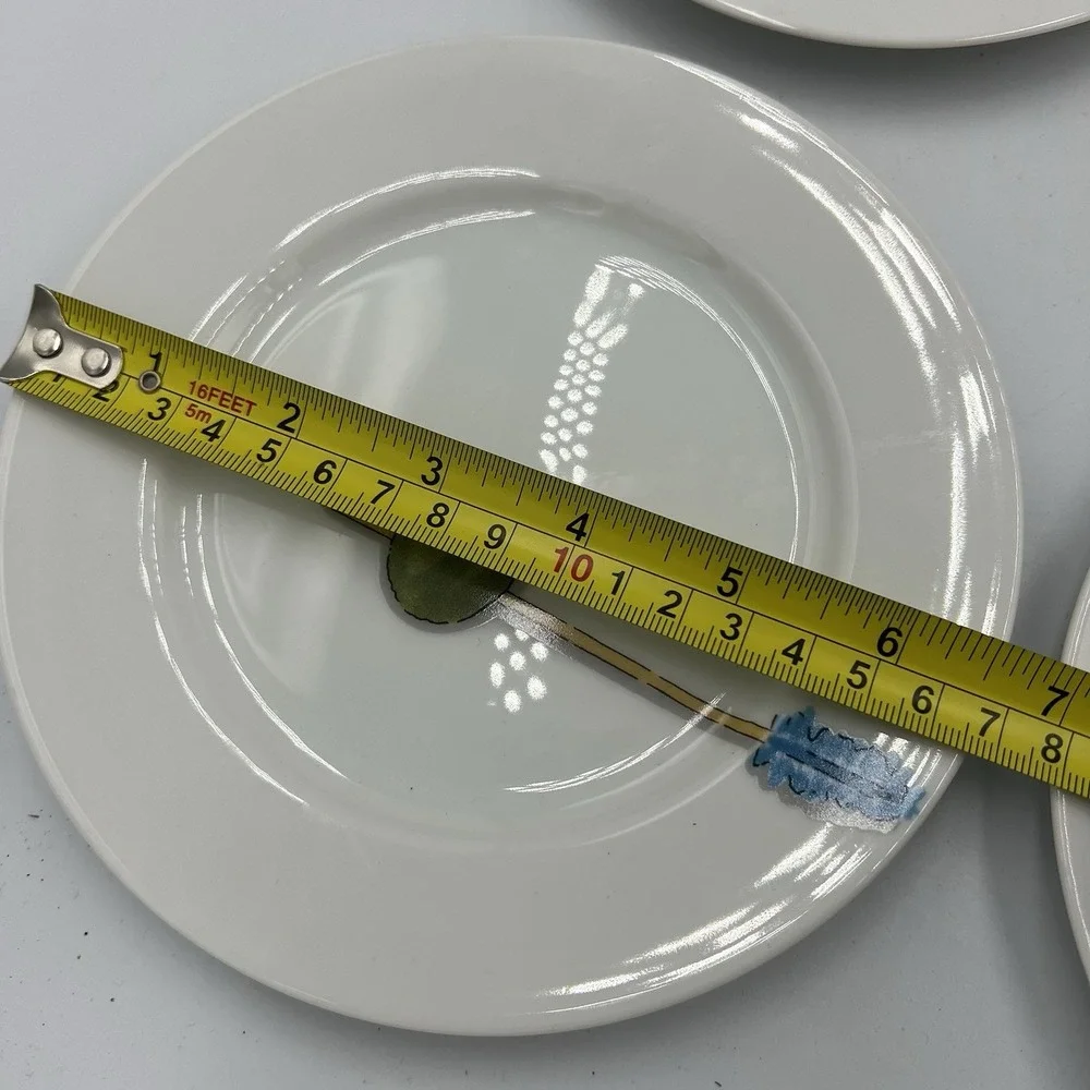 Crate & Barrel Tidbits Set of 6‎ Appetizer Plates 6½